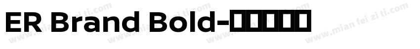 ER Brand Bold字体转换
